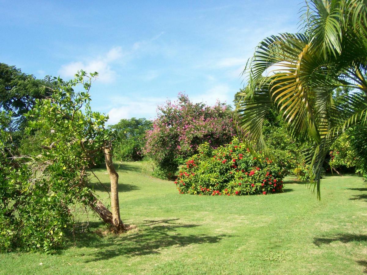 Ocean View Montego Bay Apartment Kültér fotó